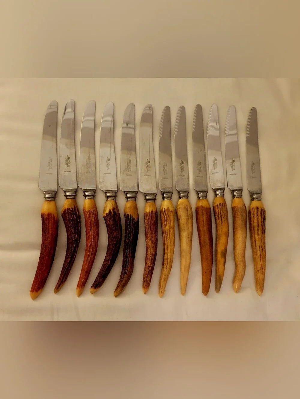Twelve Sheffield Knives, Antler/Stag Handles, Stainless Steel, 9in. Length